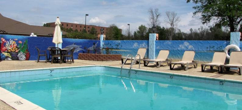 巴吞鲁日酒店(Royal Inn & Suites)图片