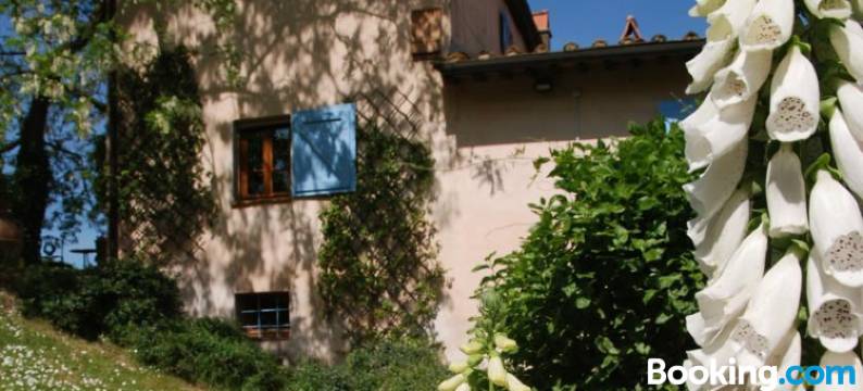 Appartamento Con Patio Privato e Giardino Tra Pisa e Firenze图片