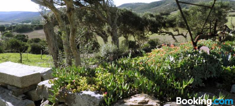 卡萨卡斯蒂住宿加早餐旅馆(Casa Casti)图片