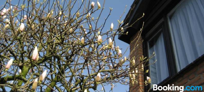 莫扎伊克乌登住宿加早餐旅馆(Bed and Breakfast de Mozaiektegel Uden)图片