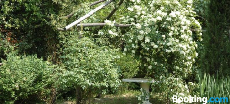 Appartamento Con Patio Privato e Giardino Tra Pisa e Firenze图片