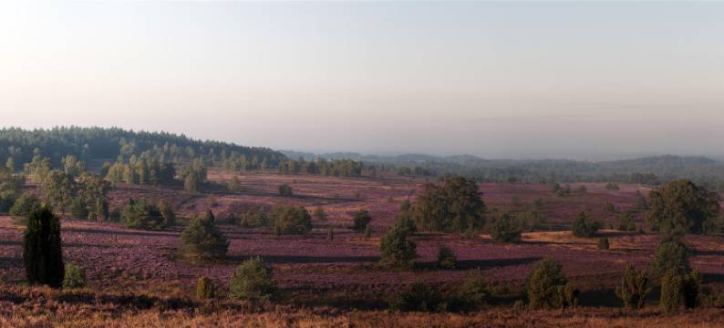 米歇尔霍登哈根酒店(Michel Hotel Hodenhagen)图片