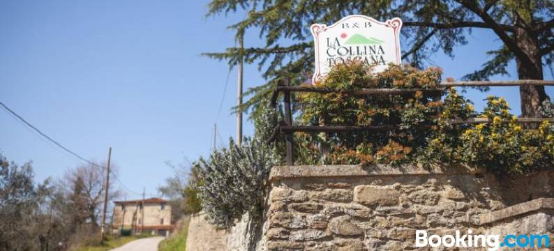 拉科里纳托斯卡纳农庄酒店(Agriturismo la Collina Toscana)图片