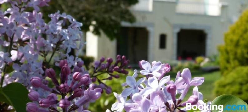 加托涅住宿加早餐酒店(Chambres d'hôtes le Cartounier)图片