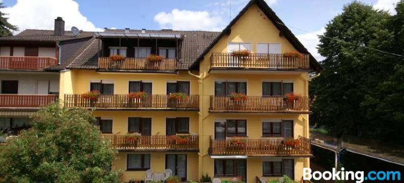 维德纳酒店(Hotel Weidenau)图片