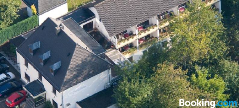 库尔帕克酒店(Kurparkhotel-Gemünd)图片