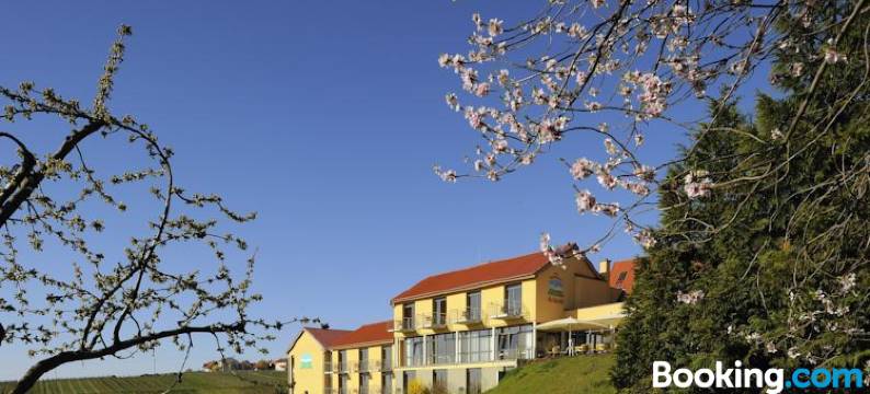 阿尔特瑞比斯查勒霍弗酒店(Wohlfühlhotel Alte Rebschule)图片