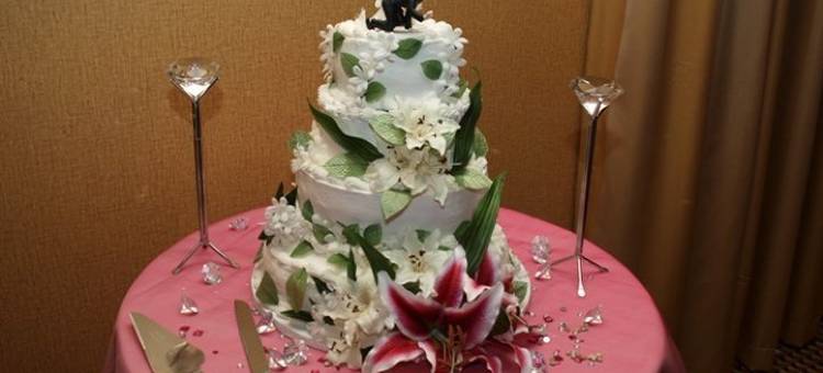 智选假日套房酒店萨克拉门托东北加州博览会(Holiday Inn Express & Suites Sacramento NE Cal Expo)图片