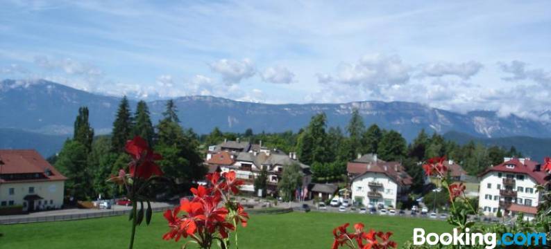 拉特马尔山酒店(Hotel Latemar)图片