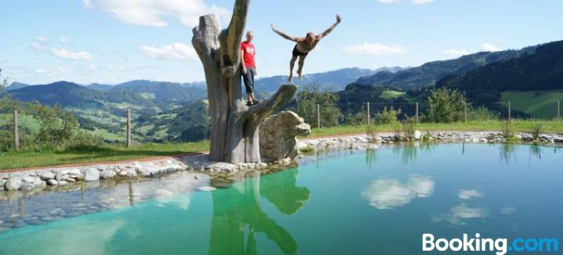 Bioferienhof Brückler图片