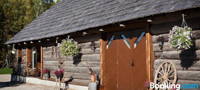 汉萨尔酒店(Hämsa Maheresto & Heaolukeskus)图片