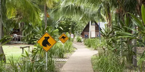 Bounce Magnetic Island and Koala Park - Formerly Roamer
