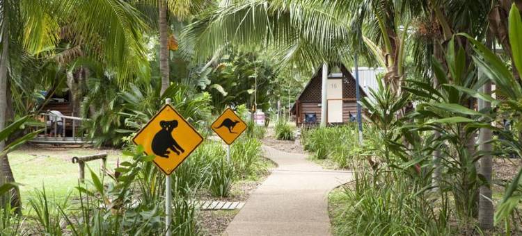 Bounce Magnetic Island and Koala Park - Formerly Roamer图片