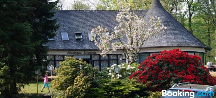 Forsthaus-Ferienhotel am Dobrock图片