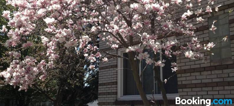 玛格罗莉亚住宿加早餐旅馆(Magnolia B&B)图片