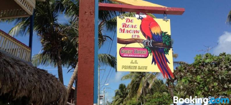 德利尔金刚鹦鹉宾馆(Scarlet Macaw at de Real Macaw)图片