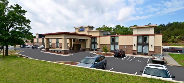 贝斯特韦斯特优质普拉斯亚德金谷套房酒店(Best Western Plus Yadkin Valley Inn  Suites)图片