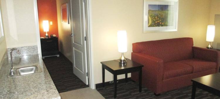 温德姆花园兰开斯特加州(Wyndham Garden Lancaster CA)图片