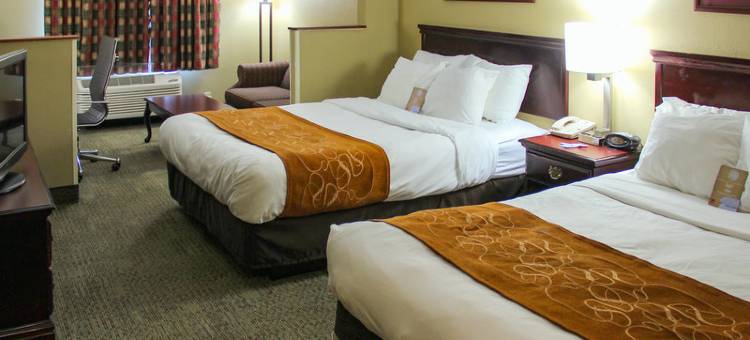 舒适套房酒店 - 近 I-80 及 I-94(Comfort Suites Near I-80 and I-94)图片