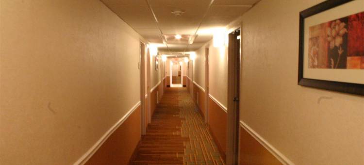 波科诺贝斯特韦斯特优质酒店(Best Western Plus Poconos Hotel)图片