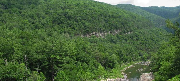 狩猎岭贝斯特韦斯特优质酒店(Best Western Plus Inn at Hunt Ridge)图片