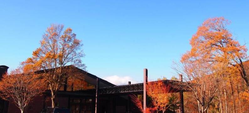 博斯科艾尔诺吉里可酒店(Nojiriko Hotel El Bosco)图片