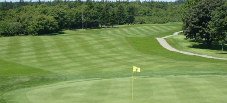 舒适酒店(Comfort Inn)图片