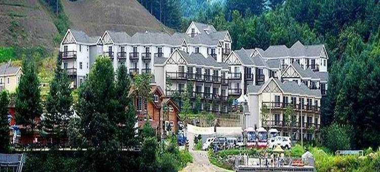 京畿道南修河岸高级旅馆(Namisum Pension)图片