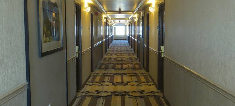 好莱坞/探险贝斯特韦斯特优质酒店(Best Western Plus Hollywood/Aventura)图片