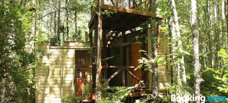 Casita Arbol图片