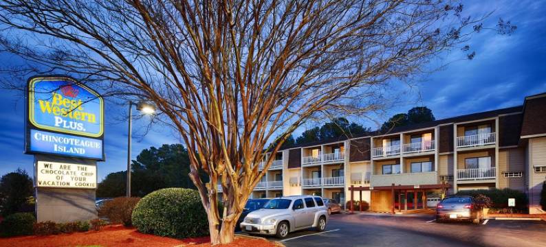 Spark by Hilton 钦科蒂格岛(Spark by Hilton Chincoteague Island)图片