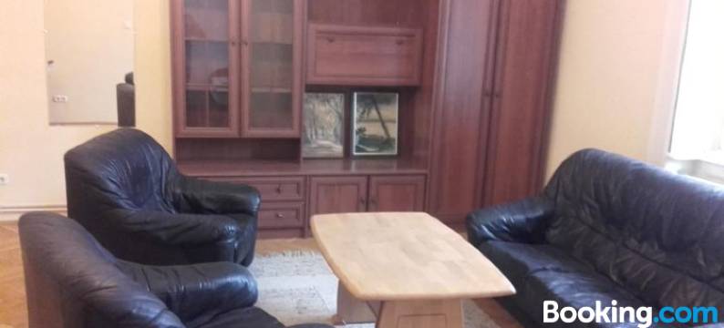 市中心公寓(Downtown Apartment)图片