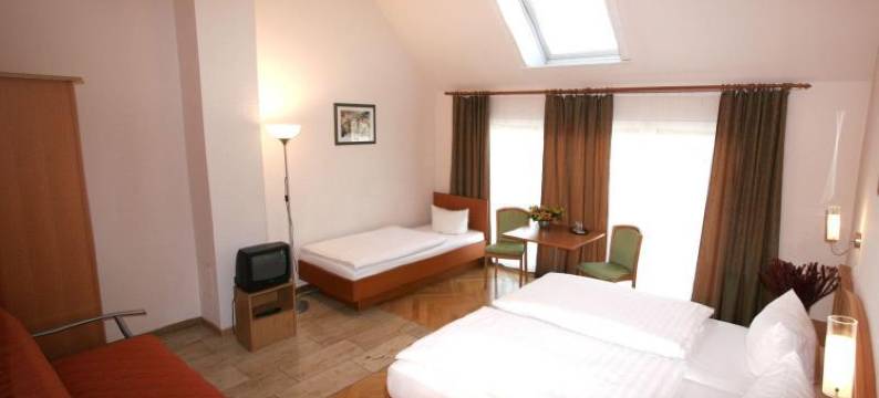 阿尔塔高级酒店(Hotel Pension Arta)图片