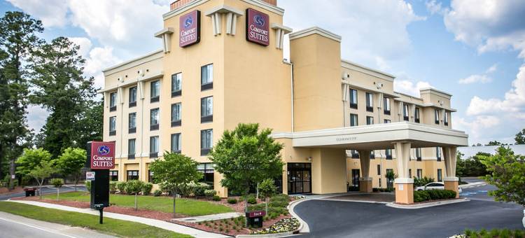 哥伦比亚东北-杰克逊堡舒适套房酒店(Comfort Suites Columbia Northeast - Fort Jackson)图片