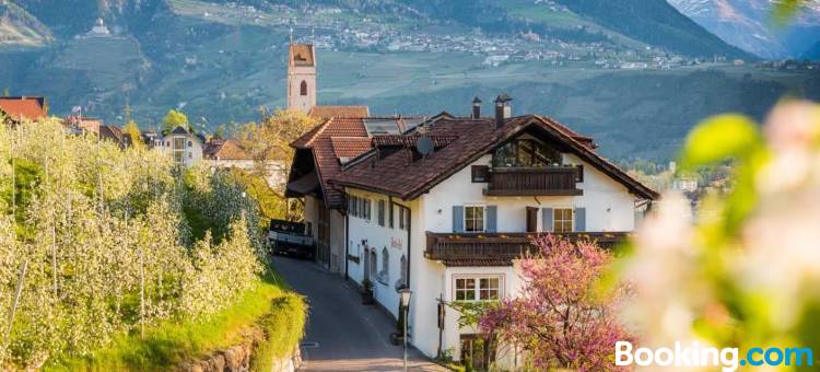Weingut Pardellerhof图片