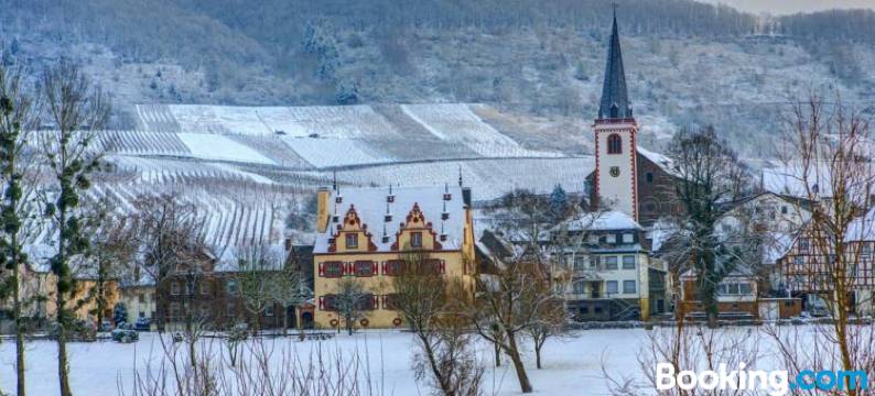 Apartment Mosel-Götterlay图片