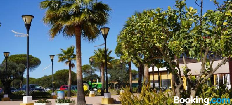 康普利约德莫格尔酒店(Complejo Turístico Rural Nazaret de Moguer)图片