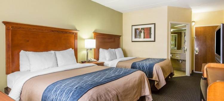 汉密尔顿广场舒适套房酒店(Comfort Inn & Suites Hamilton Place)图片