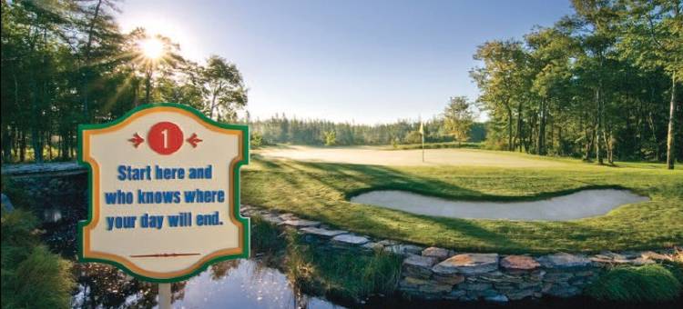 舒适酒店(Comfort Inn)图片