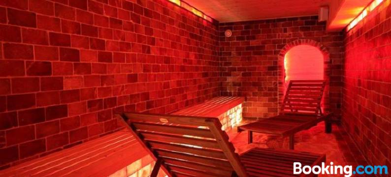 阿瑞子特酒店(Hotel Orizont Cozia)图片