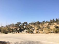 九龙峪-青州-珊妮