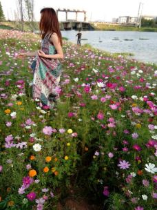 华发水郡省级湿地公园-珠海-YoYo_2A2I4Y6I