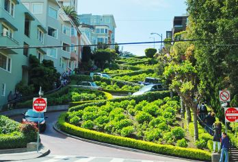 旧金山金门大桥+九曲花街+渔人码头+穆尔红杉国家公园一日游【旧金山周边游[阳光加州+中文专车+行程可调]】