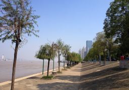 travel picture