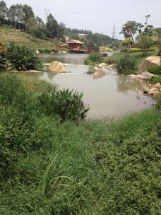 紫帽山省级旅游度假区-晋江-家中有宝