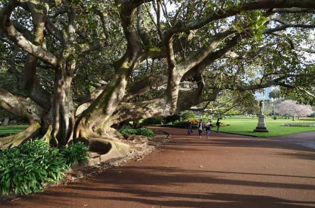 Auckland Domain