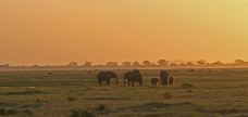 安波塞利国家公园-Amboseli-东西南北游