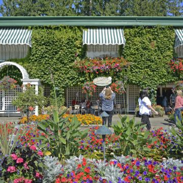 美国西雅图+班夫国家公园6日5晚跟团游