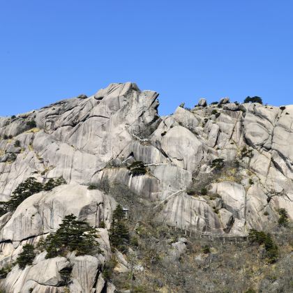 黄山+千岛湖5日4晚跟团游