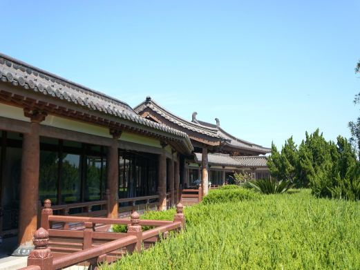 不肯去观音院